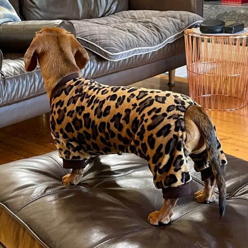 dachshund space shop leopard pajama for dachshund