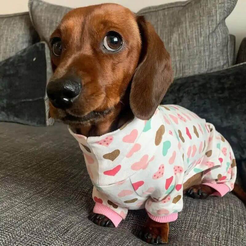 dachshund space shop sausage dog pyjamas