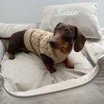 dachshund space shop winter wool dachshund sweater