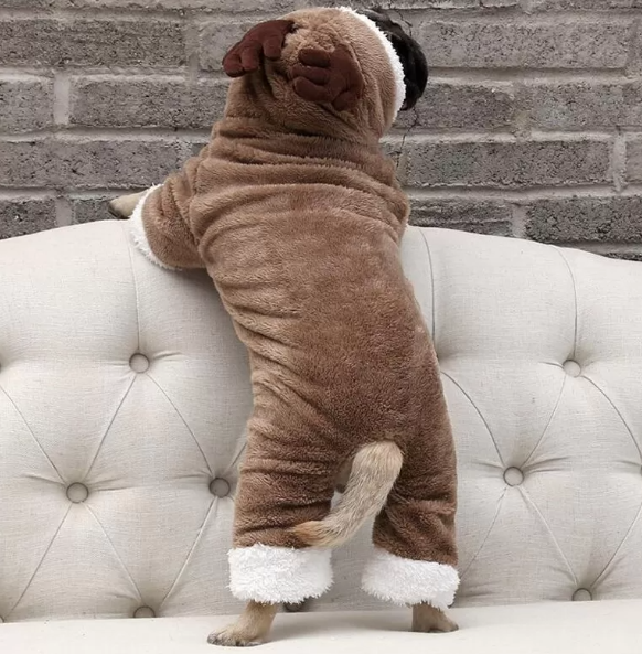 dachshund Christmas costume