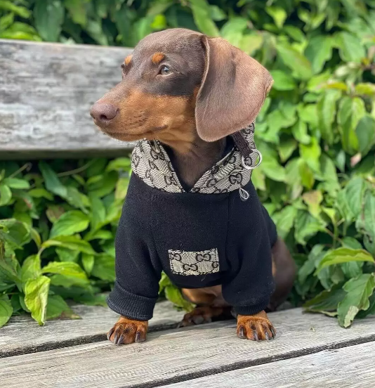 sausage dog hoodie