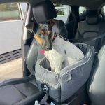 2-in-1 Portable Dachshund Carrier & Doxie Car Seat Booster photo review