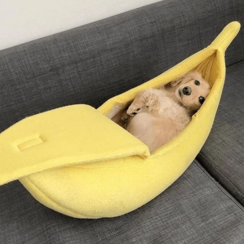 dachshund banana dog bed