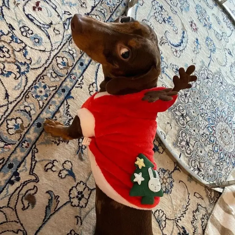 dachshund space shop elk christmas costume for dachshund