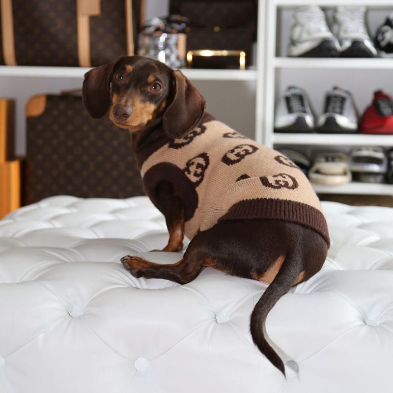 dachshund space shop pawcci brown dachshund sweater