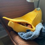 Banana Bed by Dachshund Space photo review