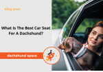 dachshund car seat