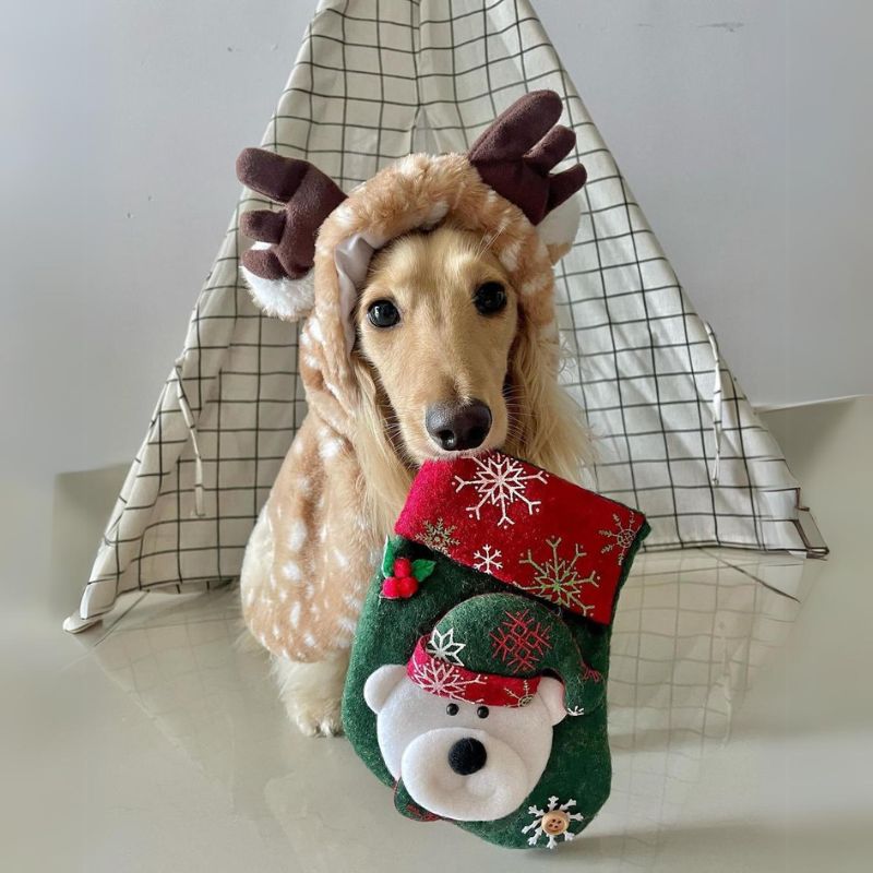dachshund space shop reindeer dachshund christmas costume