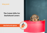 gifts for dachshund lovers