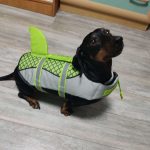 "Sharky Dachshund" Life Jacket photo review