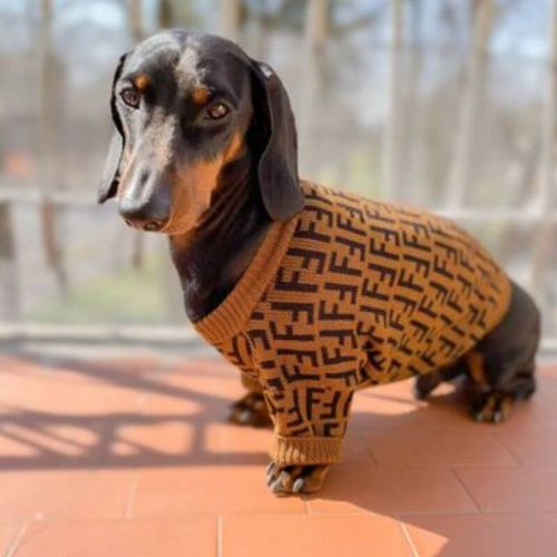 Fur Baby Coffee Dog Sweater photo review