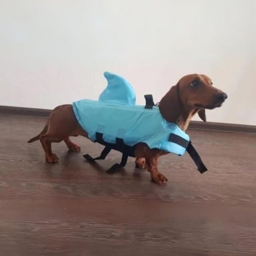 Dachshund Shark Vest photo review