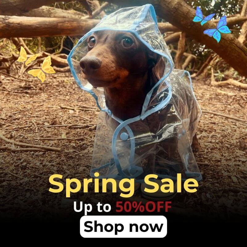 spring banner