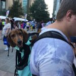Dachshund Backpack photo review