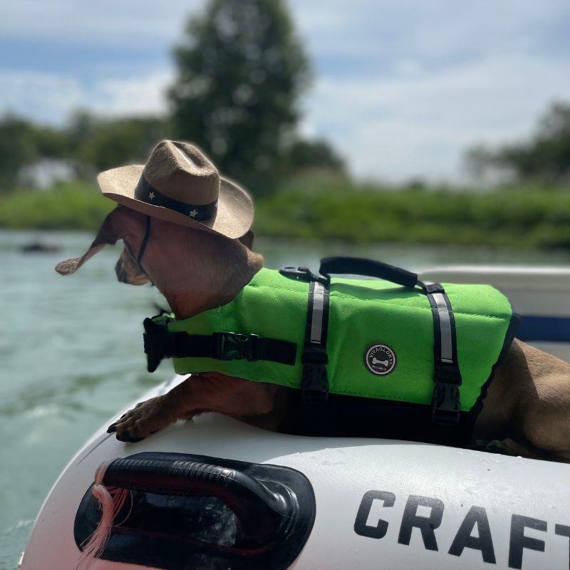 dachshund space classic dachshund swimming vest