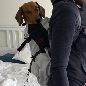 What Is The Best Dachshund Carrier? Top 10 Picks in 2026