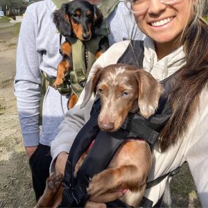 dachshund space outdoor dachshund backpack