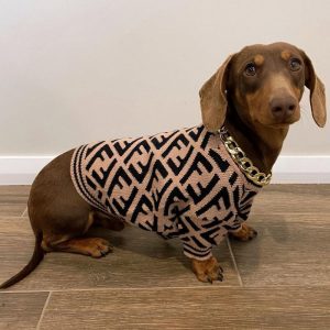 Outfits For Wiener Dogs