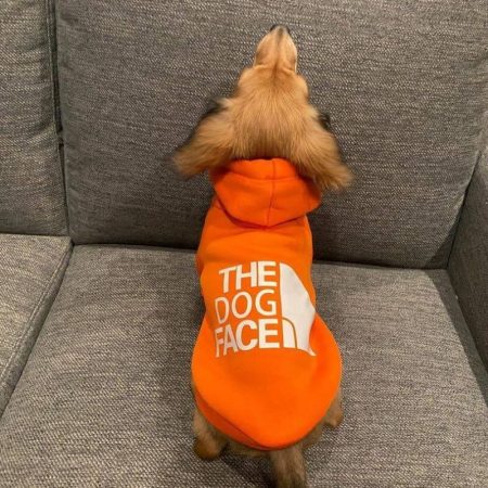 dachshund space tdf dachshund hoodie