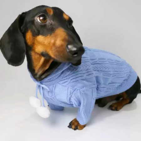 pom pom hooded dachshund sweater