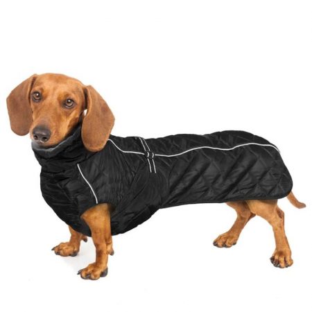 dachshund space reflective dachshund winter jacket