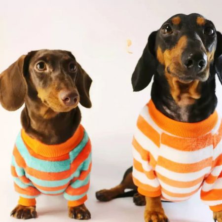 striped dachshund sweater