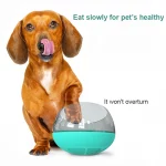 capsule dachshund bowl