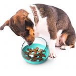 capsule dachshund bowl