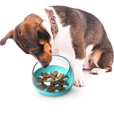 capsule dachshund bowl