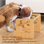 elevated wiener dog bowl