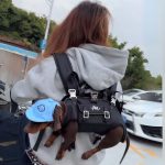 hands-free shoulder dachshund carrier
