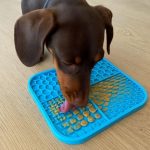 dachshund licking mat