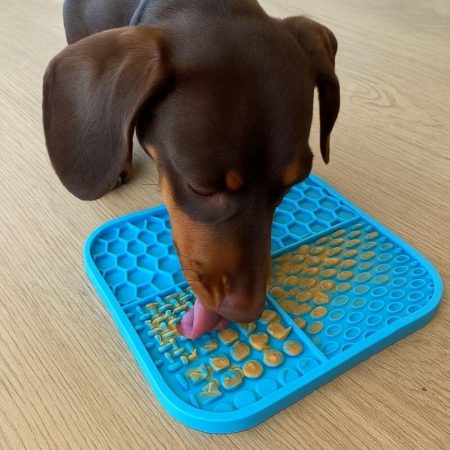 dachshund licking mat