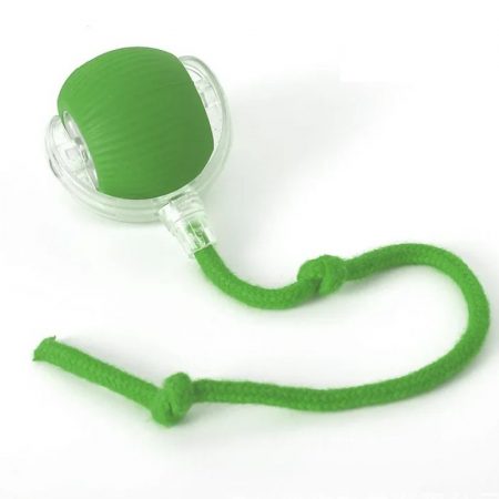 rolling ball for dachshunds