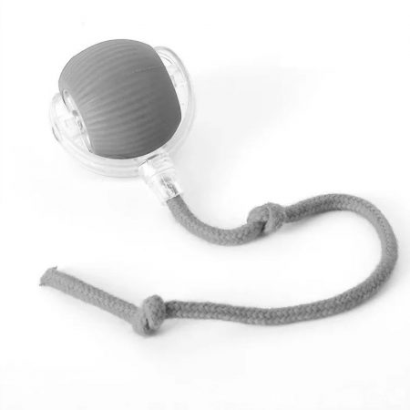 rolling ball for dachshunds