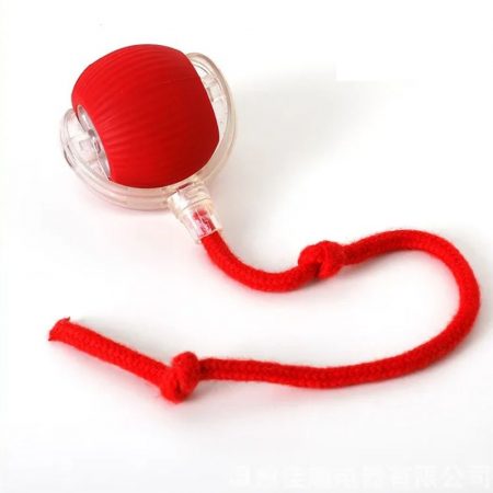 rolling ball for dachshunds