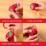 rolling ball for dachshunds