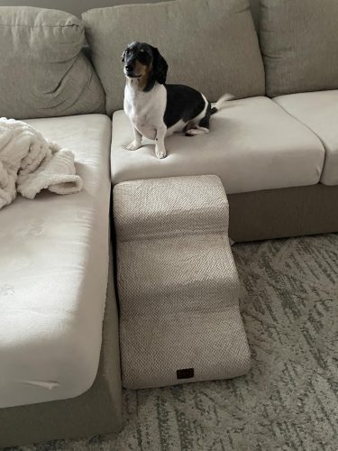 Anti-Slip Dachshund Stairs photo review