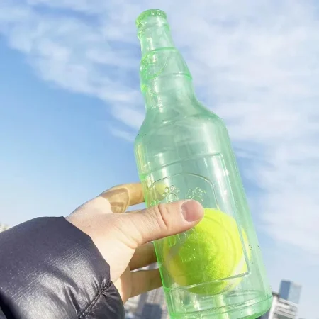 dachshund bite beer bottle