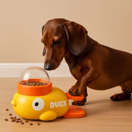 dachshund feeding duck toy
