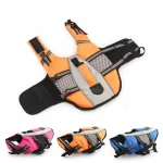 dachshund life jacket
