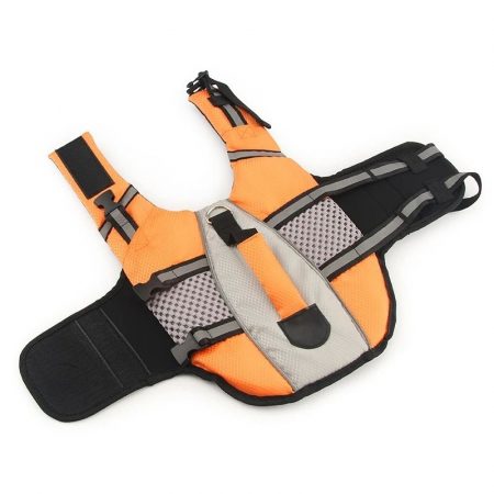 dachshund life jacket