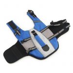 dachshund life jacket