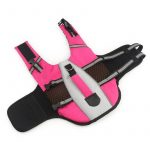 dachshund life jacket