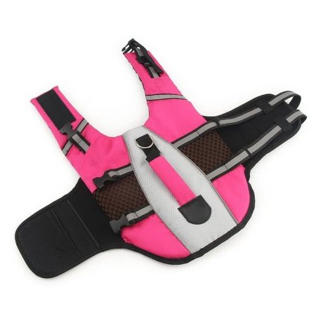dachshund life jacket