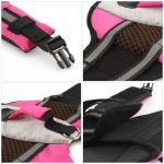 dachshund life jacket