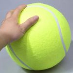 giant dachshund ball toy
