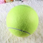 giant dachshund ball toy