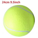 giant dachshund ball toy