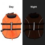 shark dachshund life jacket